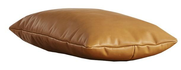 https://www.fundesign.nl/media/catalog/product/1/0/101038_level_daybed_cognac_pillow_exposed_2_.jpg