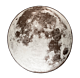 Zuiver Moon vloerkleed-Stone grey-Ø 280 cm