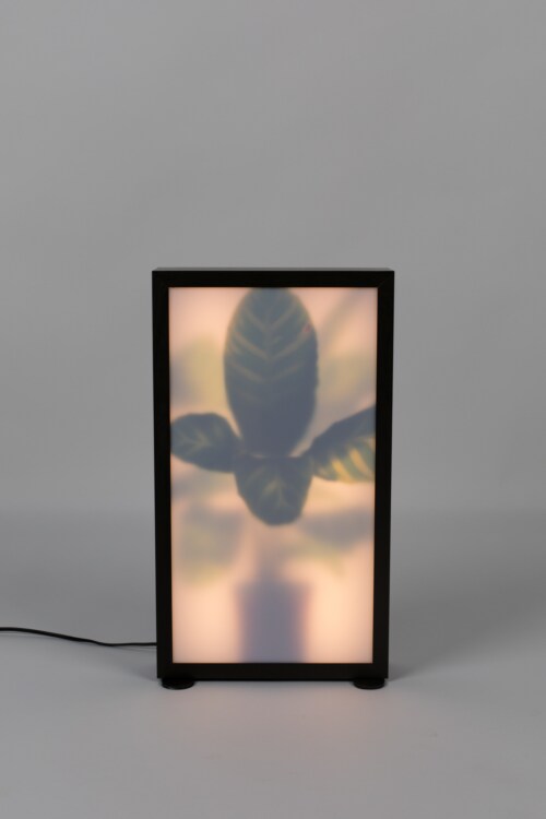 Zuiver Grow vloerlamp-Medium