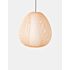 Product afbeelding van: Ay Illuminate Twiggy Egg hanglamp